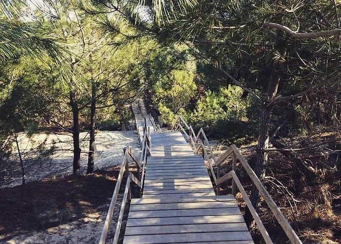 Holiday home Caporizon-villa Courant-terrasse-proche Mimizan